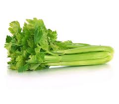 Céleri vert