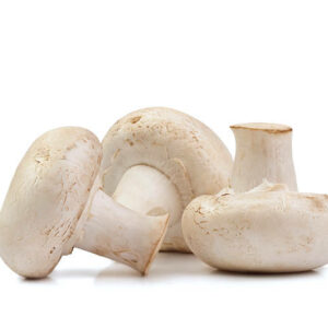 Champignons blancs