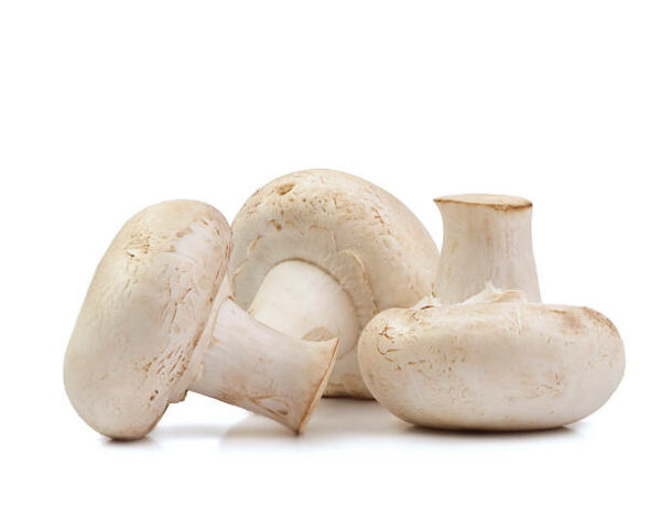 Champignons blancs